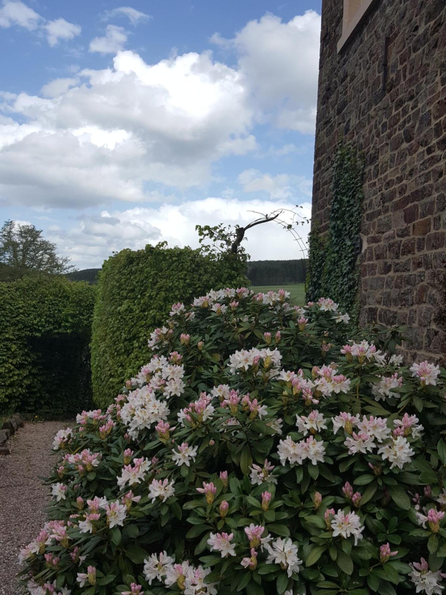 Villa Die Alte Schule Haeuschen à St. Vith Chambre photo